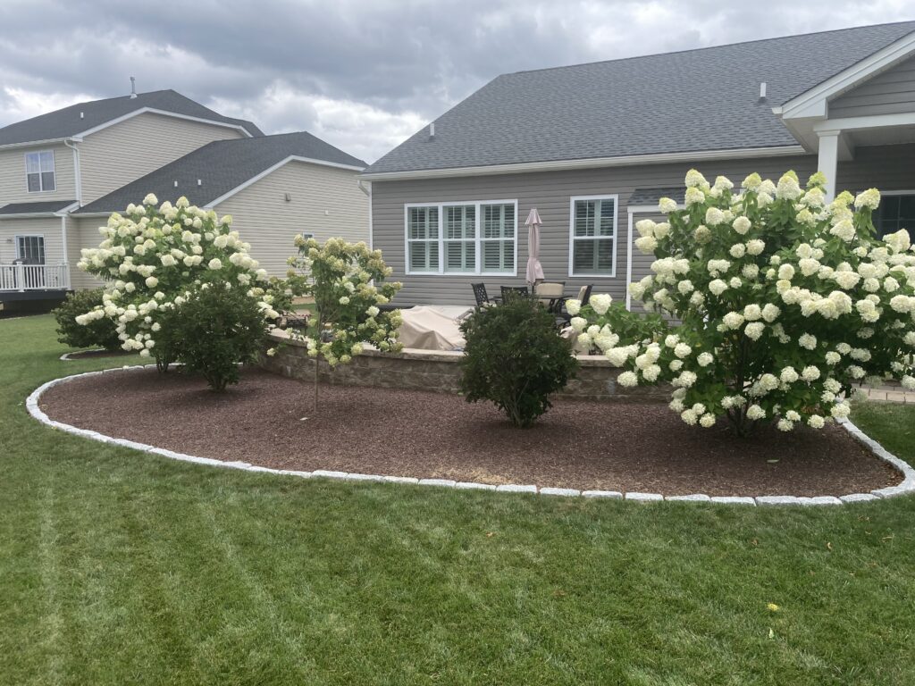 Landscaped backyard in Macungie with decorative stone planting beds and sitting wall