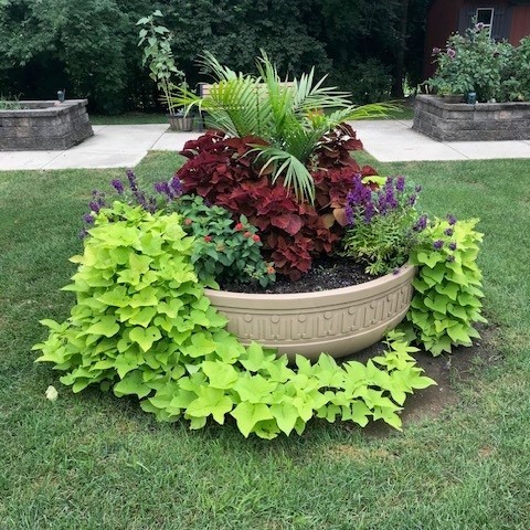 Flowers and plants in a planter in Bethlehem