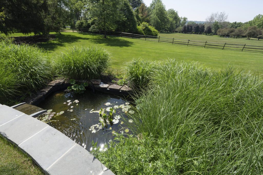 Backyard pond with waterfall and plants in Red Hill