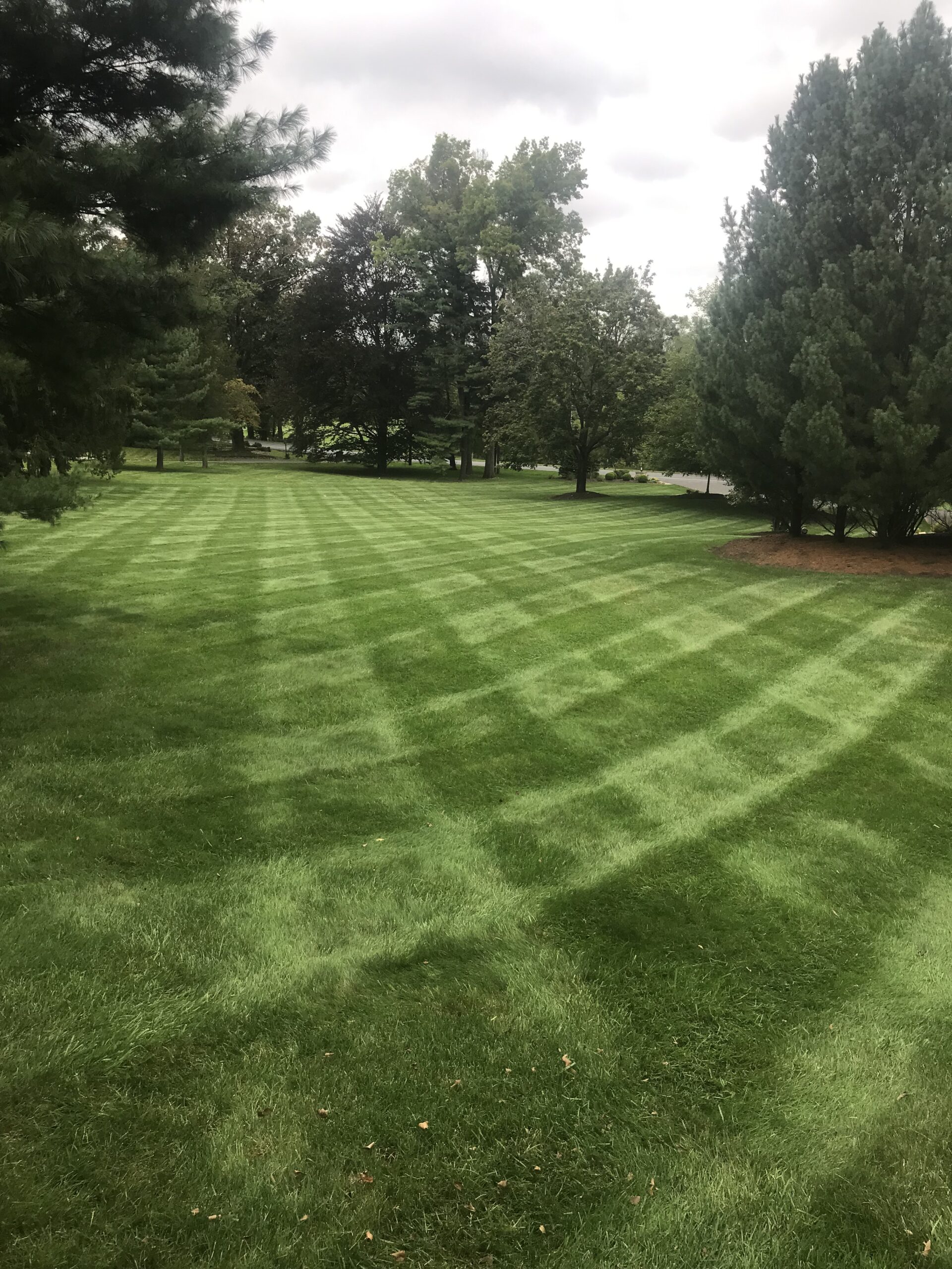 Thick green mowed lawn commercial service Quakertown