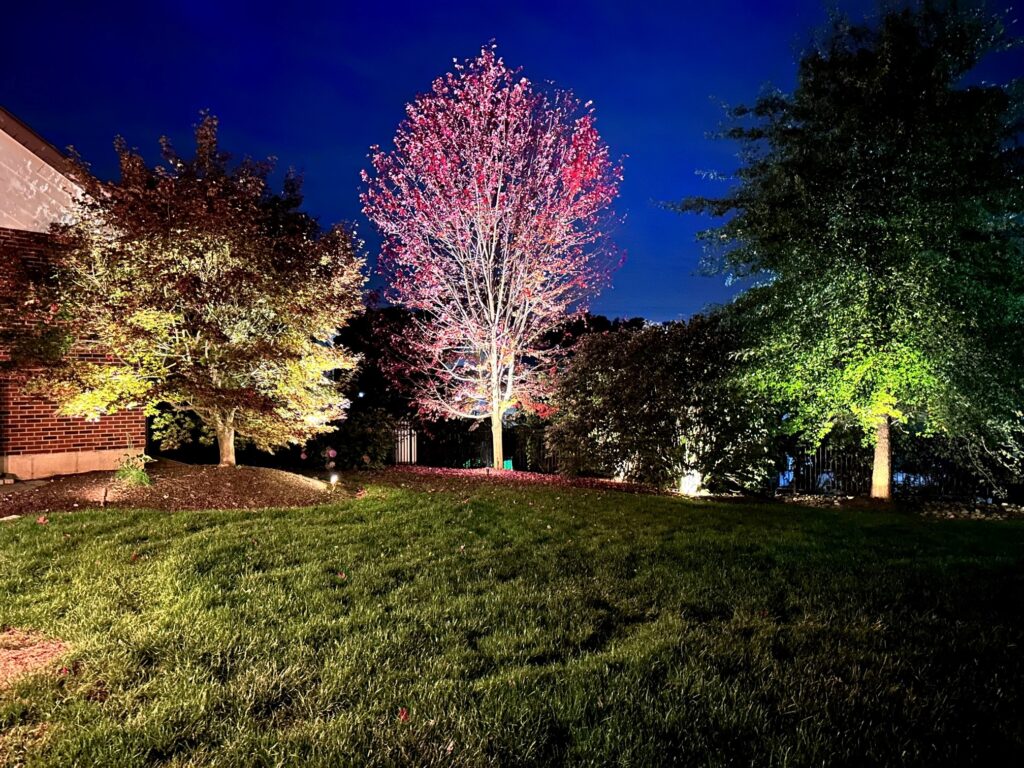 Outdoor lighting on landscaping in Hereford
