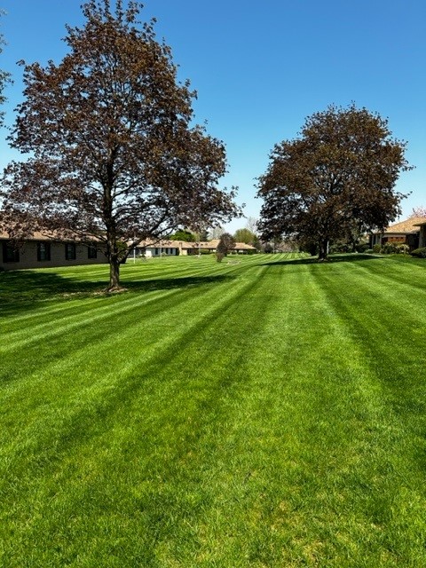 Commerical HOA mowing lines in Macungie