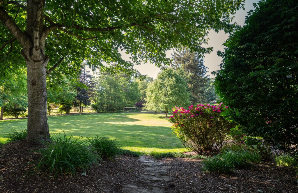 Landscaped backyard with shade tree in Red Hill