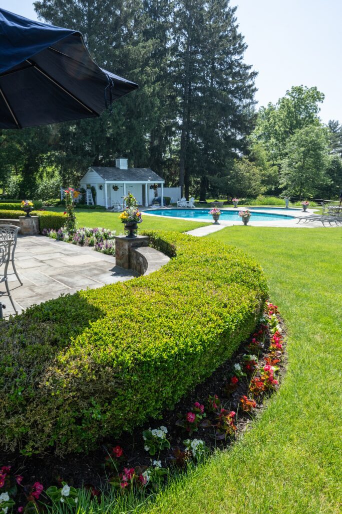 Boxwood hedge with lawn and pool in Saucon Valley
