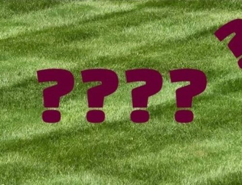 Spring 2025: The Great Unknown