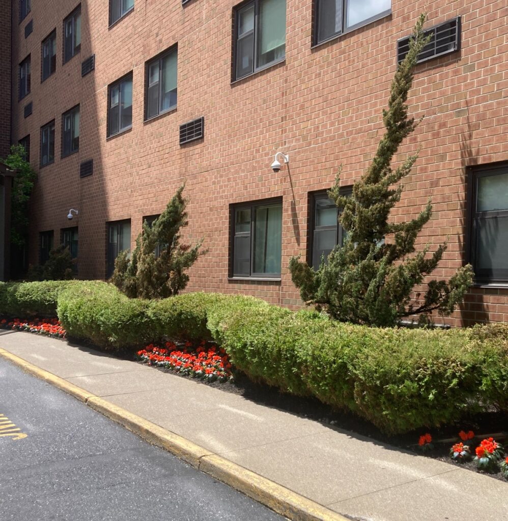 Manicured outdoor space at commercial facility