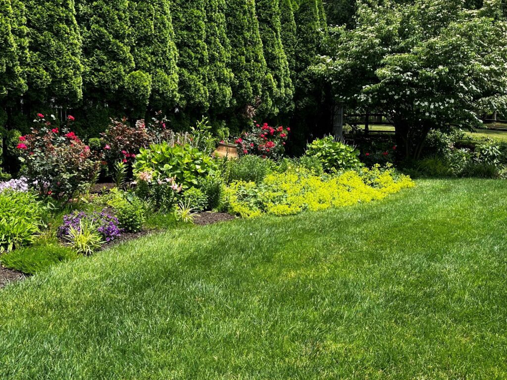 Perennial Garden with healthy lawn