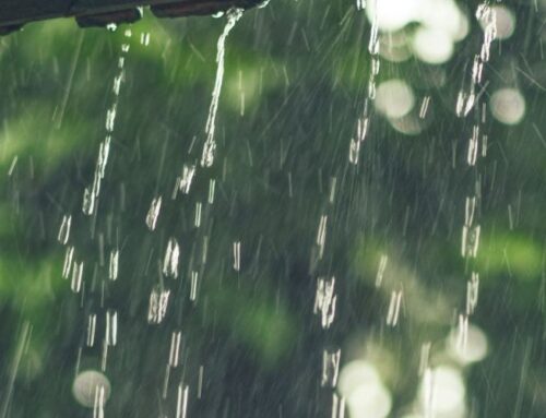 Rain Rain Go Away… 2025 Red Thread