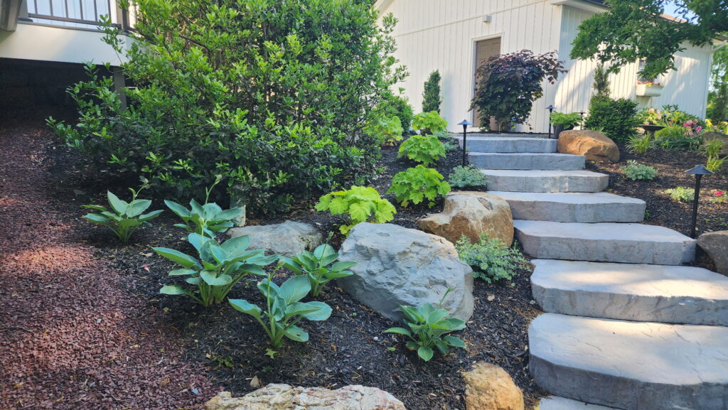 Natural looking steps and landscaping
